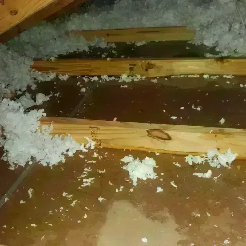 Attic Water Damage in Obion, TN